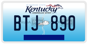 BTJ890  license plate in KY