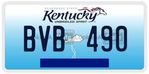 BVB490  license plate in KY