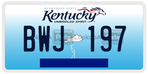 BWJ197  license plate in KY