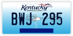 BWJ295  license plate in KY