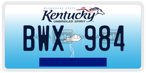 BWX984  license plate in KY