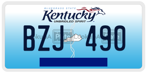 BZJ490  license plate in KY