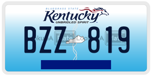 BZZ819  license plate in KY