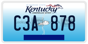 C3A878  license plate in KY