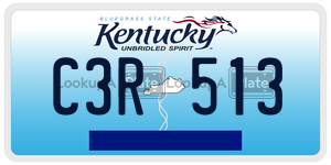 C3R513  license plate in KY