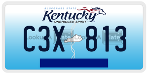C3X813  license plate in KY