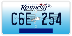 C6E254 license plate in Kentucky