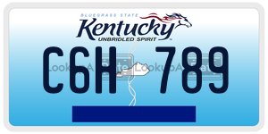 C6H789  license plate in KY