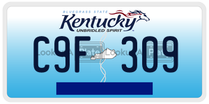 C9F309  license plate in KY