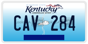 CAV284  license plate in KY