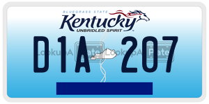 D1A207  license plate in KY