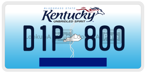 D1P800  license plate in KY