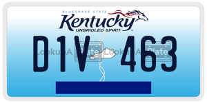 D1V463  license plate in KY