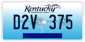 D2V375  license plate in KY