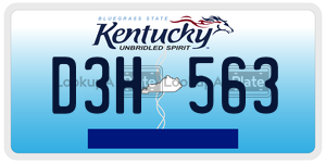 D3H563  license plate in KY