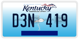 D3N419  license plate in KY