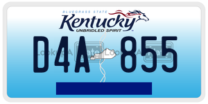 D4A855  license plate in KY