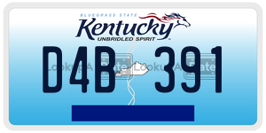 D4B391 license plate in Kentucky
