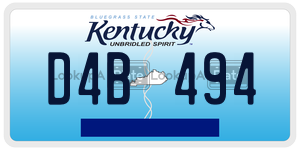 D4B494  license plate in KY