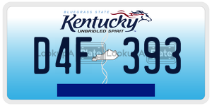 D4F393 license plate in Kentucky