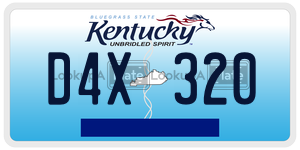 D4X320  license plate in KY