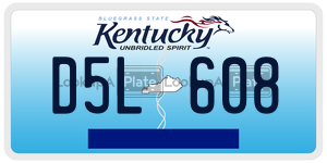D5L608  license plate in KY
