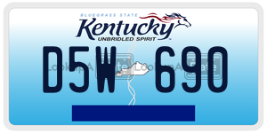 D5W690  license plate in KY