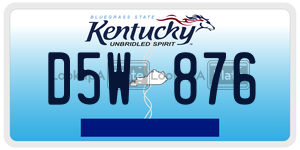 D5W876  license plate in KY