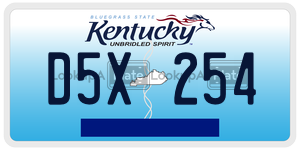 D5X254  license plate in KY