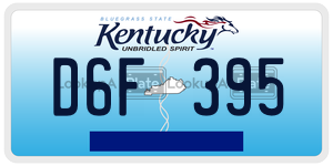 D6F395  license plate in KY