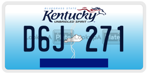 D6J271  license plate in KY