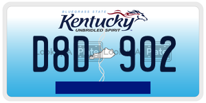 D8D902  license plate in KY
