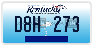 D8H273  license plate in KY