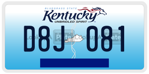 D8J081  license plate in KY