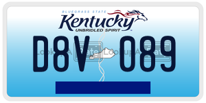 D8V089  license plate in KY