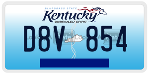 D8V854  license plate in KY