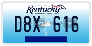 D8X616  license plate in KY