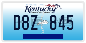 D8Z845  license plate in KY