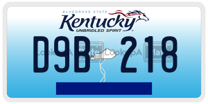 D9B218  license plate in KY
