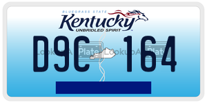 D9C164 license plate in Kentucky