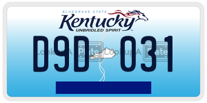 D9D031  license plate in KY
