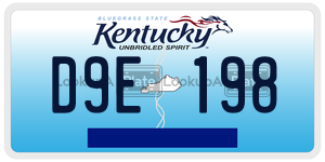 D9E198 license plate in Kentucky