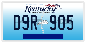 D9R905  license plate in KY