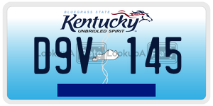 D9V145  license plate in KY