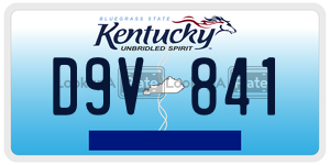 D9V841  license plate in KY