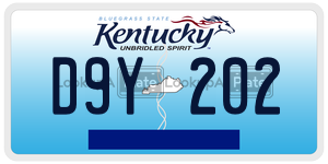 D9Y202 license plate in Kentucky