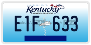 E1F633  license plate in KY
