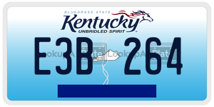 E3B264  license plate in KY