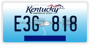 E3G818  license plate in KY
