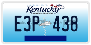 E3P438  license plate in KY